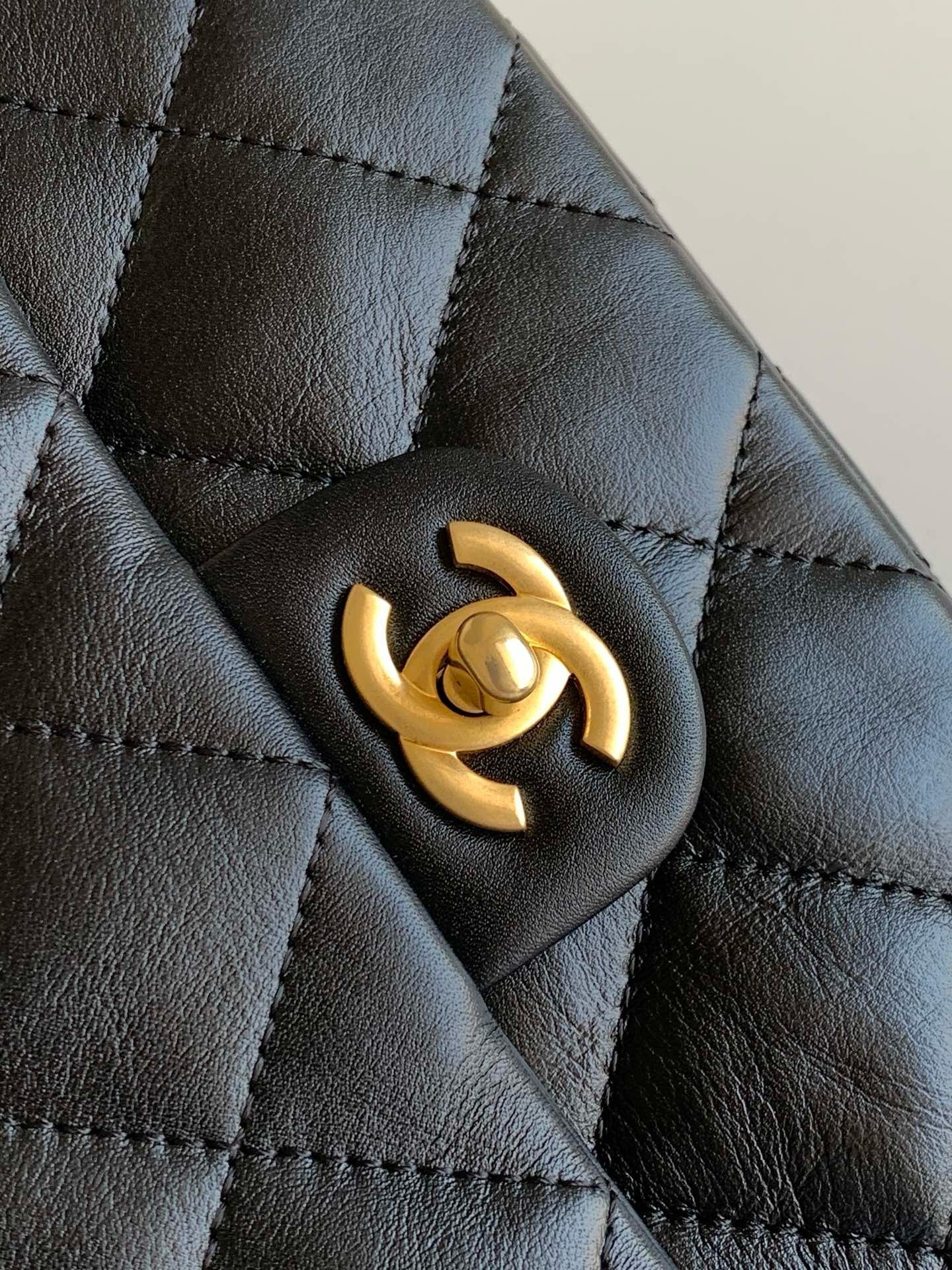 CHA 24P CF Bag