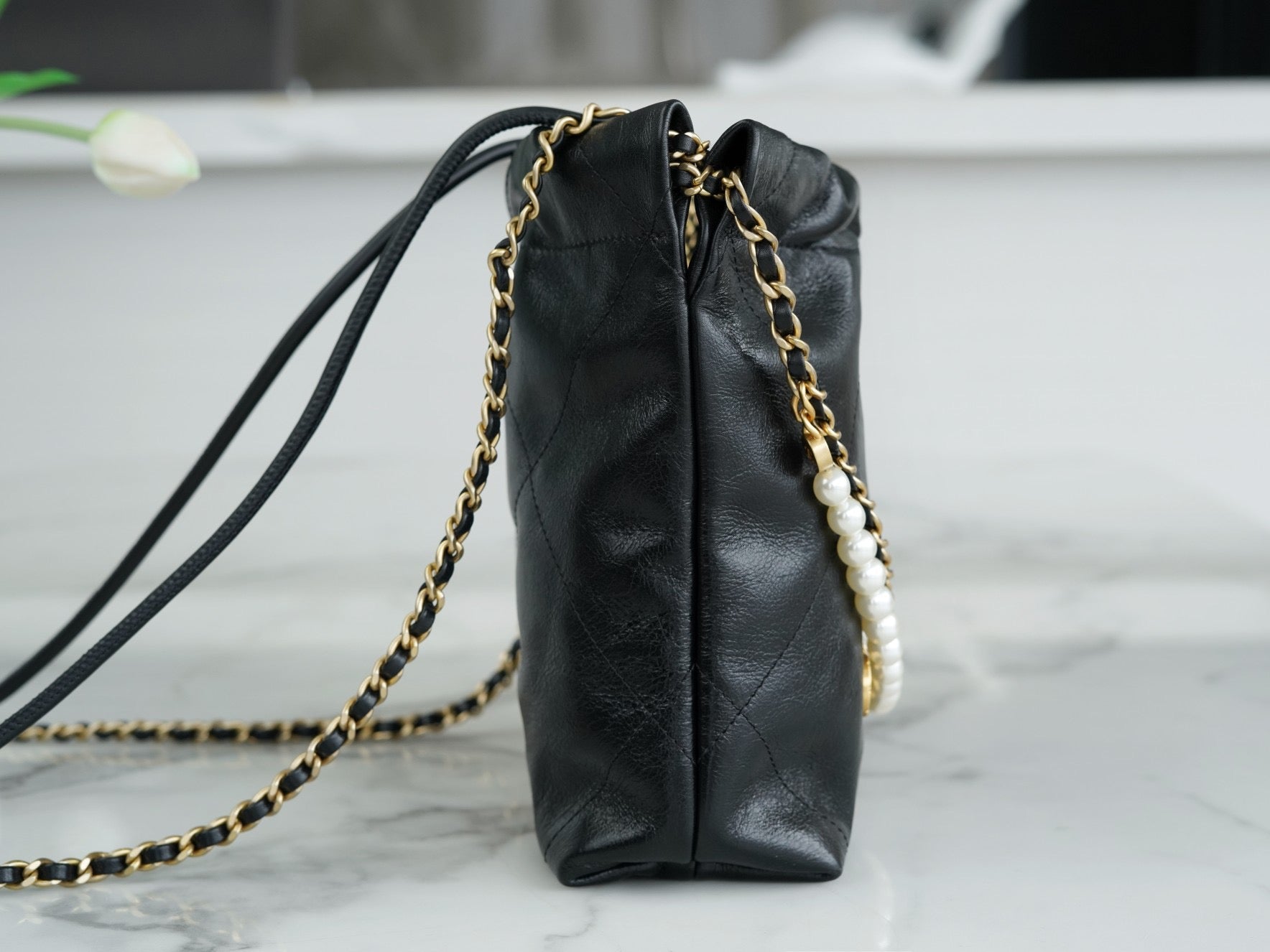 CHA 23s 22Mini Bag