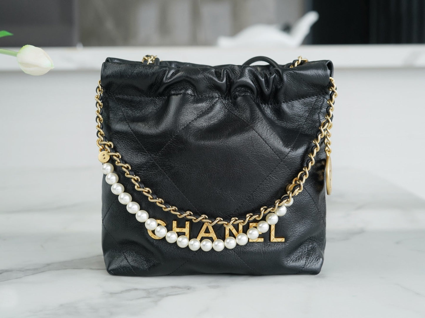 CHA 23s 22Mini Bag