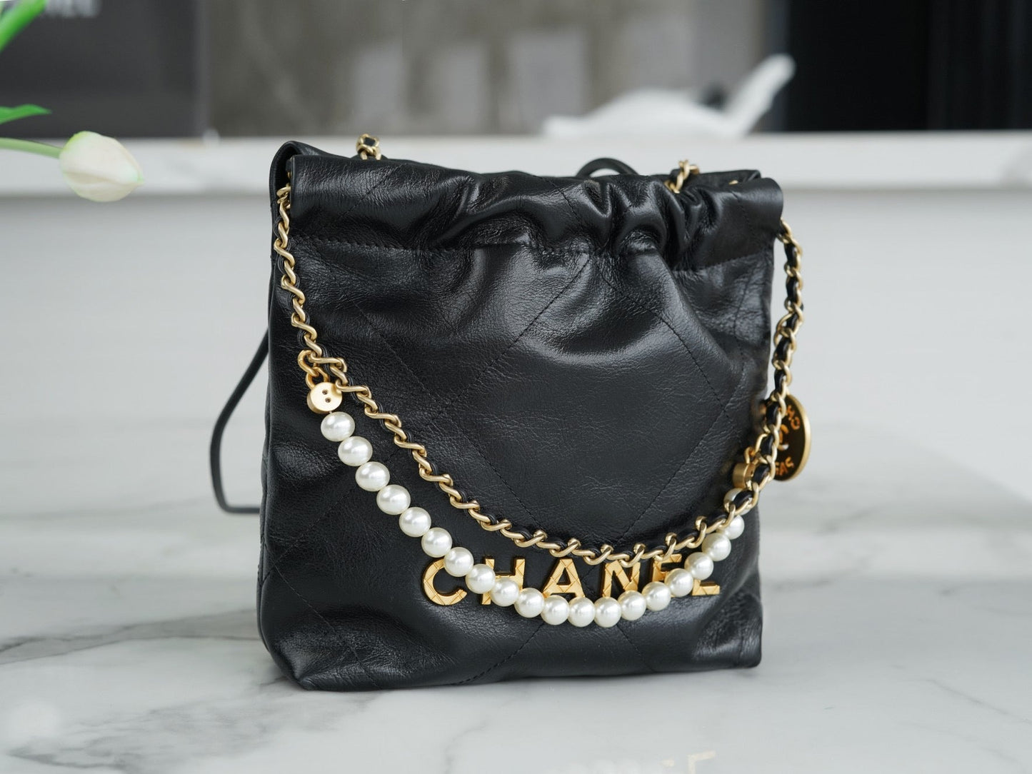 CHA 23s 22Mini Bag
