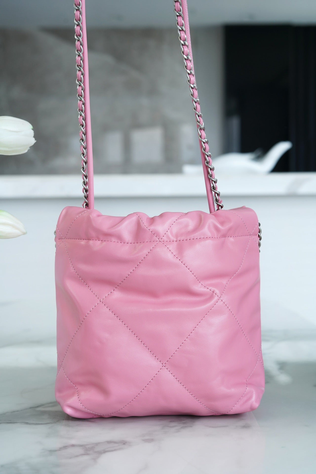 CHA 23s 22Mini Bag