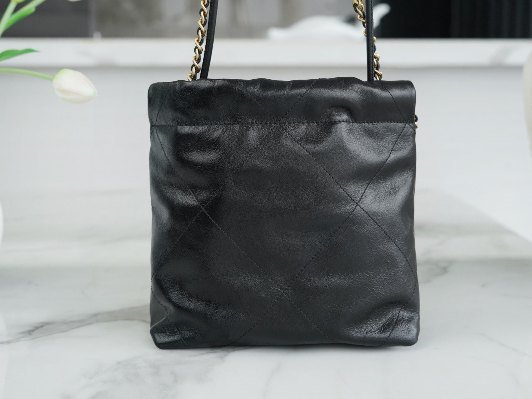 CHA 23s 22Mini Bag